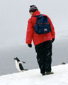 Gentoo copyright 2008 Debra Shearwater